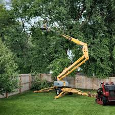 Romoland, CA Tree Services Company
