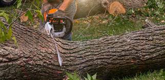 Best Lawn Drainage Solutions  in Romoland, CA