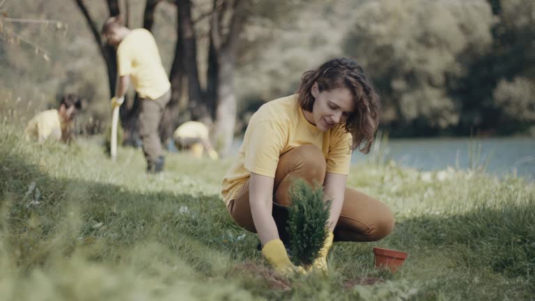 Best Lawn Renovation and Restoration  in Romoland, CA