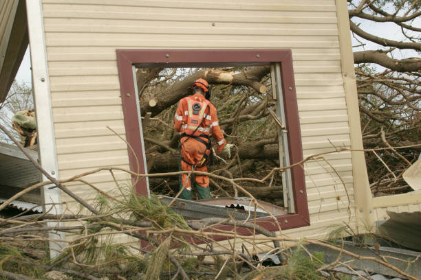 Best Tree Preservation Services  in Romoland, CA